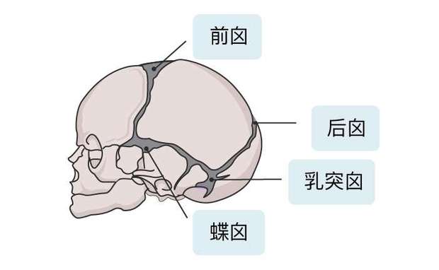 圖片關(guān)鍵詞 圖片關(guān)鍵詞